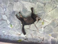 -沙河粉村·国家非遗传承(云台店)