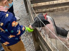 -前小桔亲子创意农场·草莓采摘·露营烧烤