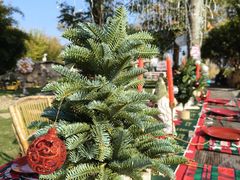 -HERRE·FARM 赫尔露营农场·团建聚会包场