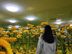 -天津梵高星空艺术馆(天河城旗舰店)