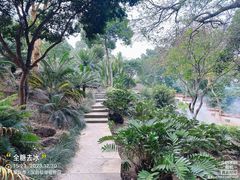 -深圳仙湖植物园