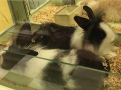 -龙猫仔乐园(惠福东路店)