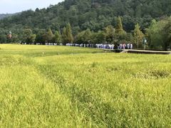 -韶山毛泽东同志故居