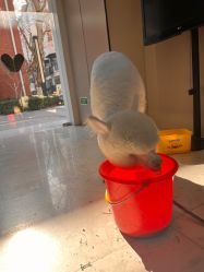 -莫奈庄园·儿童摄影馆·影视基地(江宁店)