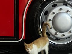 -海底捞火锅(海悦天地店)