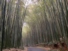 -苏州环秀晓筑养生度假村