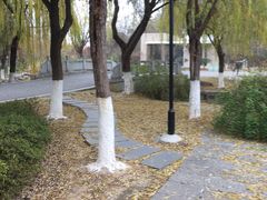 -太子山公园(园东路)