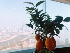 -龟山风景区-龟山电视塔