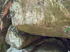 -藏龙百瀑风景区