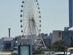 -琴岛之星摩天轮