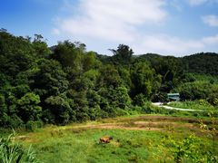 -广州市帽峰山景区