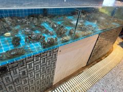 -蓝珊海鲜澳洲和牛自助餐厅