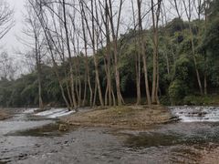 -川西竹海景区