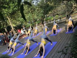 -亚太瑜伽普拉提学院