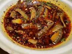 -情妹耙泥鳅·江湖川菜(科华店)