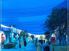 -芜湖新华联大白鲸海洋公园