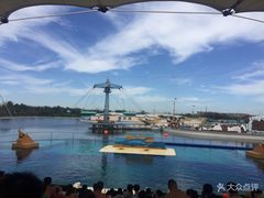 -秦皇岛乐岛海洋王国