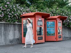 -丹东路渡口(轮渡站)