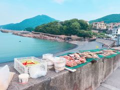 -乌石塘景区