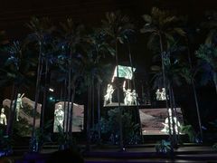 -三亚红色娘子军演艺公园景区