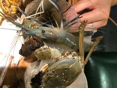 -甄品麦哲伦海鲜和牛自助(万达广场店)