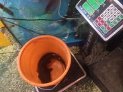 -粗粮人家·东北菜(洋桥店)