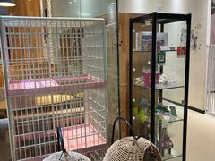 -藏猫猫咖啡主题馆(中央大道店)