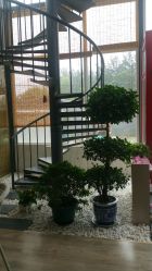 -一花一叶瑜伽生活馆