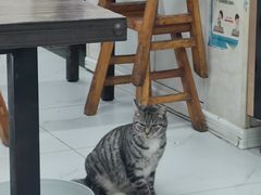 -金胜胖子牛肉锅贴(五福街店)