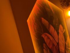 -金色莲花泰式按摩SPA(石牌店)
