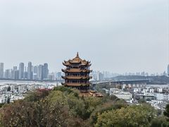-小凤庭·地道湖北菜武昌鱼·藕汤(38年黄鹤楼店)