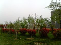 -河南财经政法大学(郑东校区)