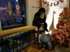 -ZOO COFFEE 动物园咖啡(亦庄店)