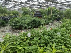 -南宫五洲植物乐园