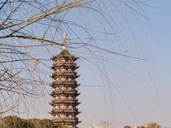 -葛仙湖公园