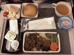 -新加坡航空公司(ION)