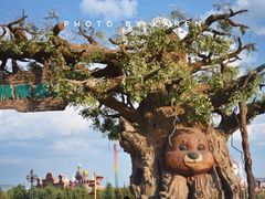 -满洲里口岸套娃景区