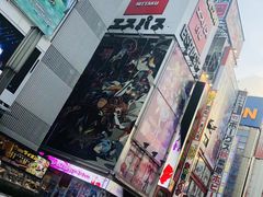 -秋叶原电器街