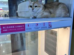 -乐宠宠物店(世纪金源店)