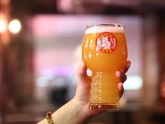 -Boxing Cat Brewery拳击猫精酿啤酒馆(思南公馆店)