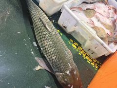 -海峡水产品交易中心(海鲜交易区)