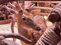 -正佳雨林生态植物园