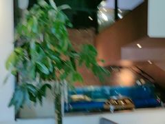 -洞庭鱼香(万科店)
