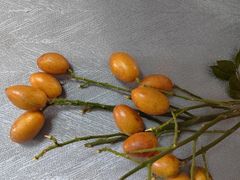 -百果园PAGODA(中铭豪园店)