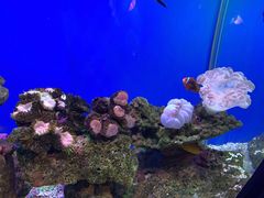 -海合安武汉极地海洋公园