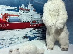 -上海中国航海博物馆