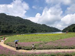 -广州市石门国家森林公园