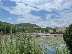 -青岩古镇