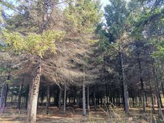 -长春市南湖公园