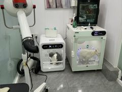 -爱洗澡的猫(望京店)